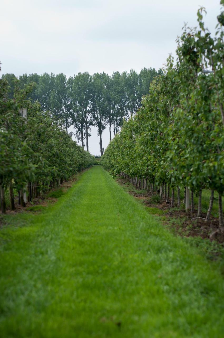 Hoeve Oude Tol Zuidzande Kültér fotó