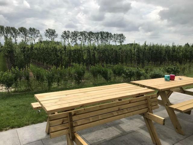 Hoeve Oude Tol Zuidzande Kültér fotó