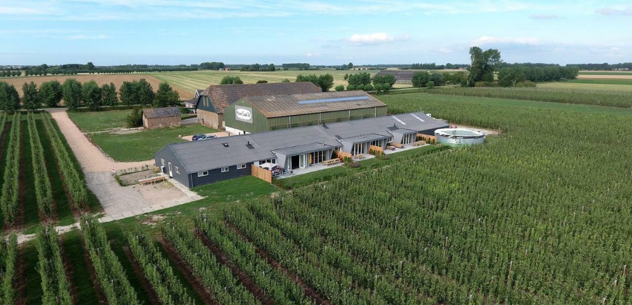 Hoeve Oude Tol Zuidzande Kültér fotó